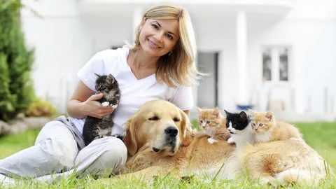mulher sentada com gato na mao e cachorro deitado no chao com outros gatos sendo baba e pet sitter