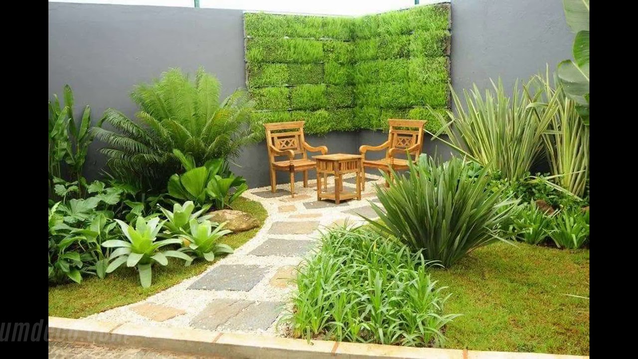 Benefícios de Ter um Jardim
